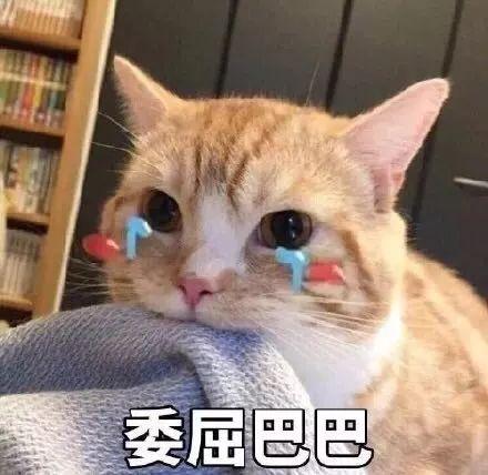 折耳猫娱乐吃瓜君