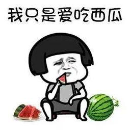 娱乐吃瓜钱,吃瓜群众如何用“钱”解锁明星幕后故事